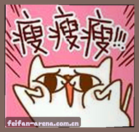赵雪